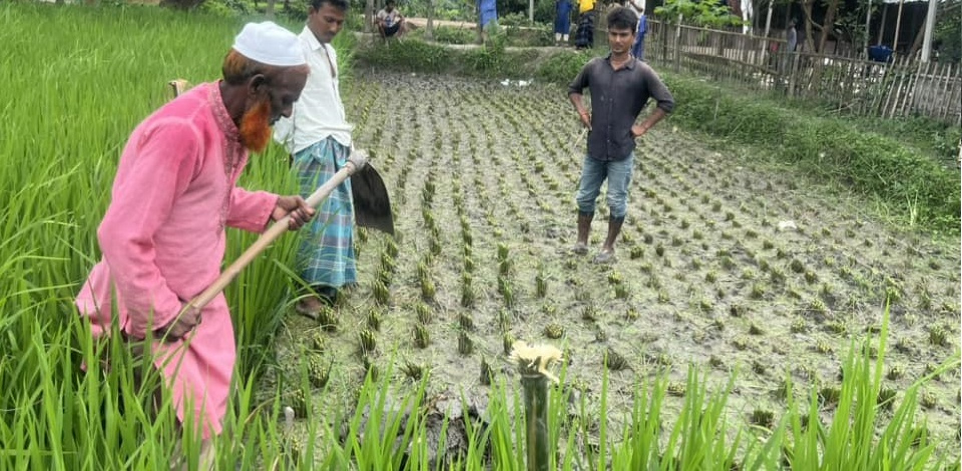 কুরআন-সুন্নাহর আলোকে আলোকিত সমাজের পথে